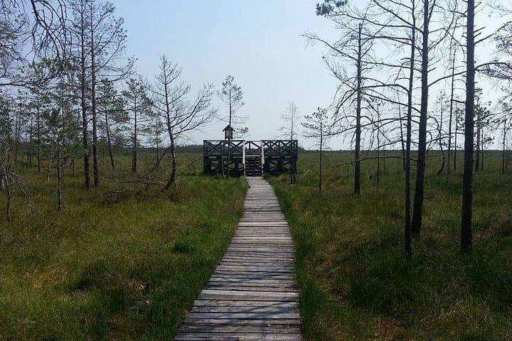 Vilnius Day Trip to Dzukija National Park, Merkine & Grutas Park photo 3