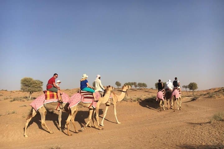 Sunset Camel Ride & Bedouin BBQ in Ras Al Khaimah Desert photo 2