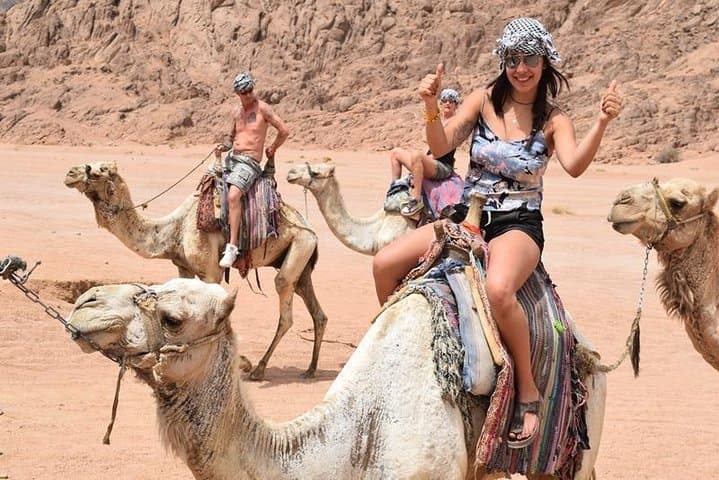 Sharm El Sheikh Desert Adventure: Quad Biking, Bedouin Camp & Stargazing
