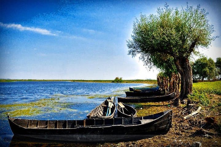 2-Day Private Danube Delta Tour from Bucharest — Wildlife & Boat Excursion