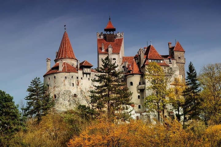 Bear Watching in Transylvania: 2-Day Carpathian Wildlife Tour from Bucharest photo 4