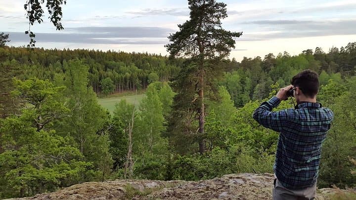 Evening Wildlife Safari Stockholm: Moose, Roe Deer & Campfire Fika photo 4
