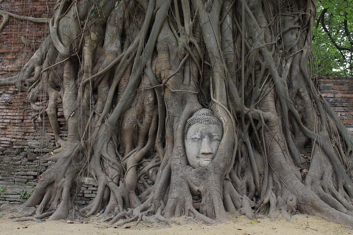 Ayutthaya by Coach and Cruise: A Day Among Siam's Temple Ruins photo 2
