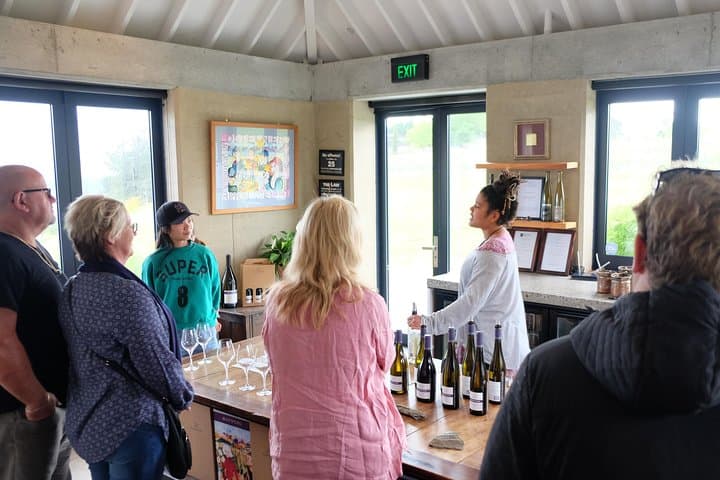 Wanaka Wine Tour & Māori Culture — Central Otago Boutique Wineries photo 3