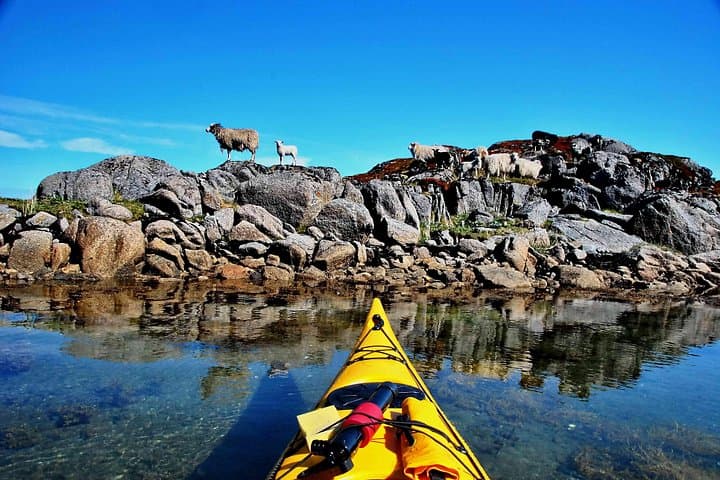 Half-Day Kayak Adventure from Eggum — Paddle Lofoten's Island-Fringed Fjords photo 3
