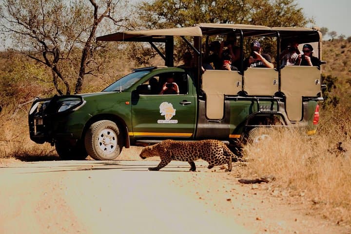 Full-Day Private Safari in Kruger National Park - Big Five Game Drive from Hazyview photo 2