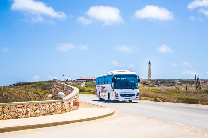Aruba Island Highlights: California Lighthouse, Gold Mine Ruins & Arashi Beach Tour photo 6
