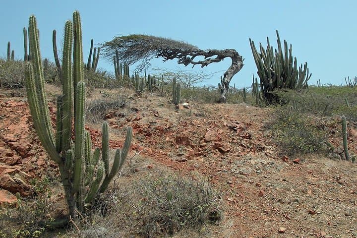 Arikok Adventurous Hiking Experience: Ranger-Led Trails in Aruba photo 4