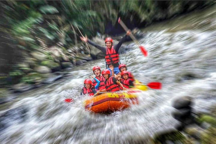 Ayung River Rafting and Ubud Day Tour — White-Water, Monkey Forest & Coffee photo 2