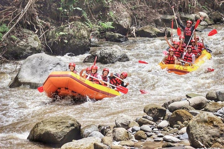 Ayung River White Water Rafting in Ubud — 2.5-Hour Adventure with Private Return photo 3