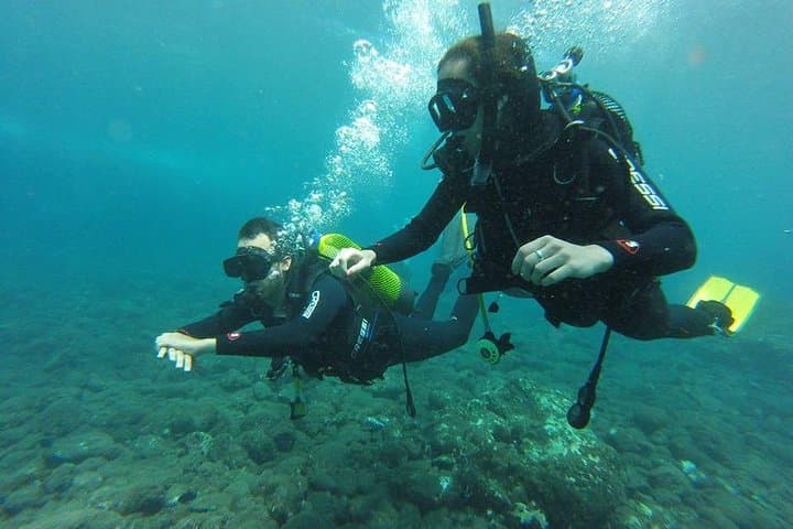 First-Time Scuba Diving in Tenerife: Volcanic Reefs & Free Photos photo 2