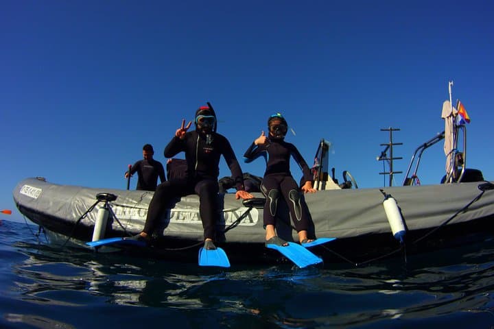 Snorkel with Sea Turtles & Stingrays at Tenerife’s Malpais de Rasca photo 3