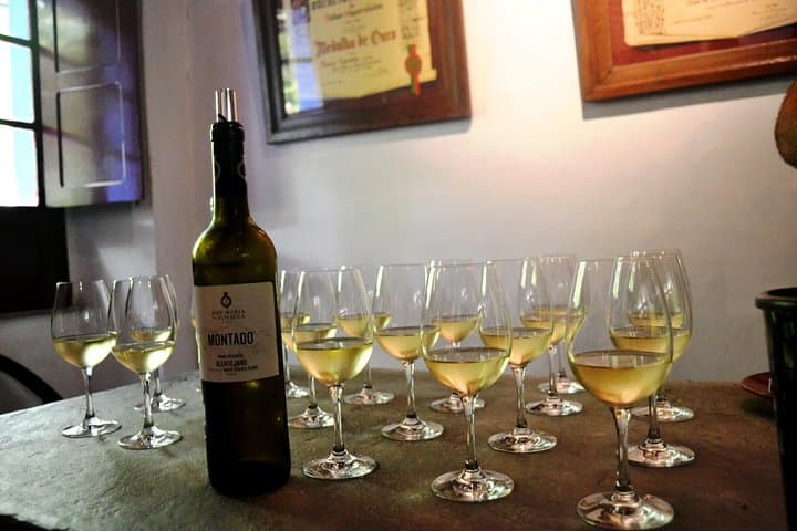 Setúbal Peninsula Private Wine Tour: Sesimbra, Azeitão & Arrábida Views photo 6