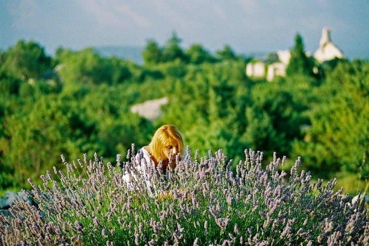Hvar Lavender Fields Small-Group Tour — Brusje Village & Coastal Vistas photo 2
