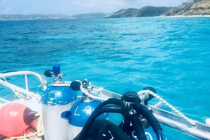 Two-Tank SCUBA Adventure on St. Thomas Reefs & Wrecks photo 2