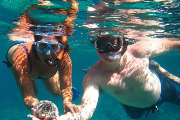 Half-Day Snorkel Tour in St. Thomas — Two Reefs, Shipwrecks & Sea Turtles