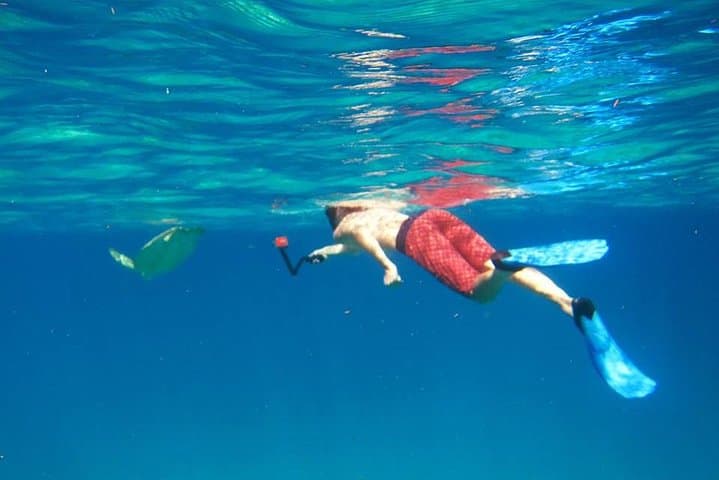 Half-Day Snorkel Tour in St. Thomas — Two Reefs, Shipwrecks & Sea Turtles photo 2