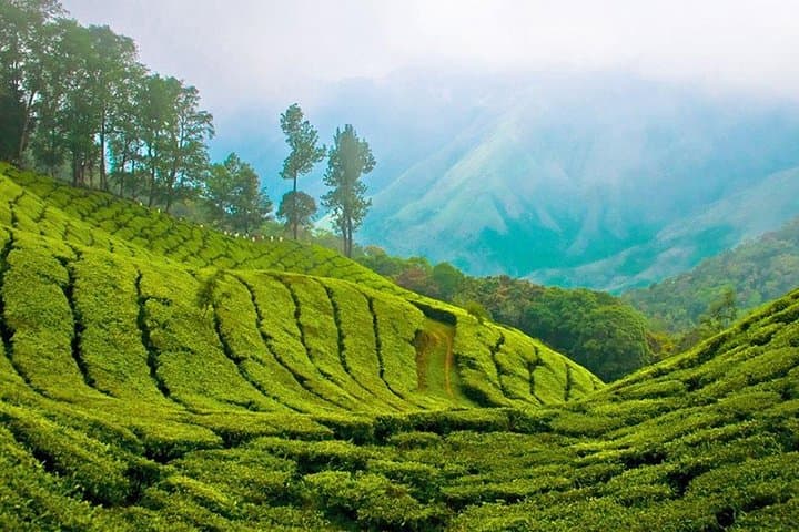 Kandy to Nuwara Eliya Day Trip: Little England, Tea Plantations & Ramboda Falls photo 2