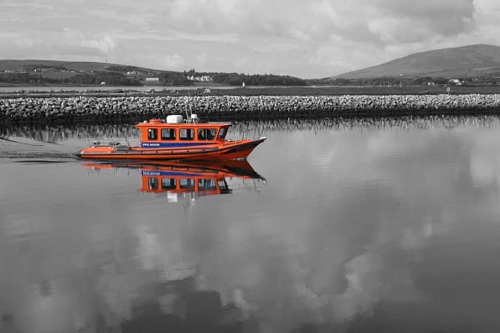Speed Boat to Great Blasket Island: Dingle Bay Day Trip & Island Landing
