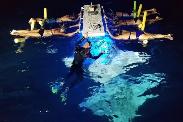 Kona Manta Ray Night Snorkel: Nighttime Swim with Giant Mantas photo 1