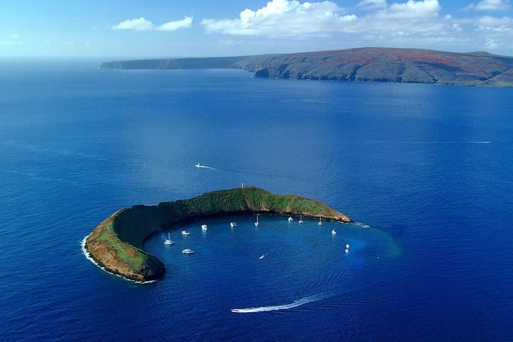 Molokini and Turtle Town Snorkeling Aboard the Malolo - Maui Catamaran Tour photo 1