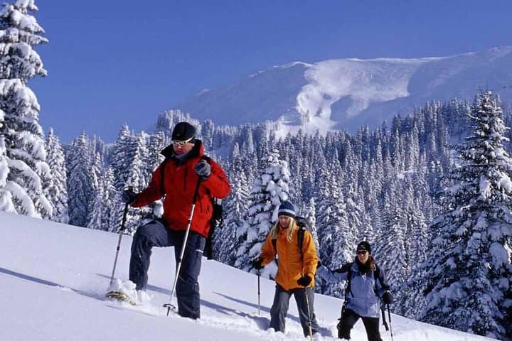 6-Day Kashmir Circuit: Srinagar, Sonamarg, Pahalgam & Gulmarg Tour photo 2