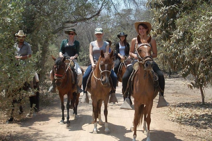 Ride to the Pyramids of Sicán: 4-Hour Horseback through Pómac Dry Forest