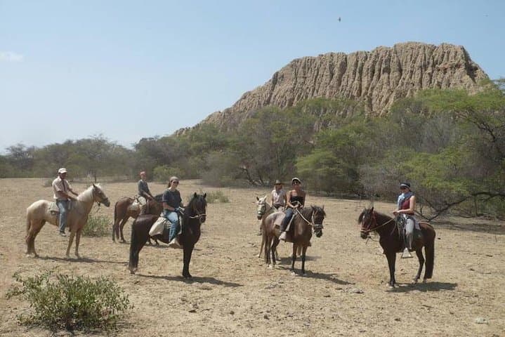Ride to the Pyramids of Sicán: 4-Hour Horseback through Pómac Dry Forest photo 2