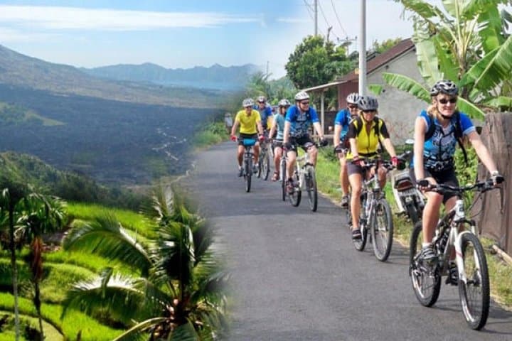 Kintamani Downhill Cycling Tour: Ubud to Mount Batur, Rice Fields & Villages