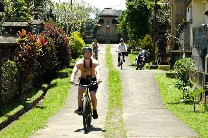 Ubud Taro Bicycle Tour: Rice Terraces, Temples & Campuhan Ridge