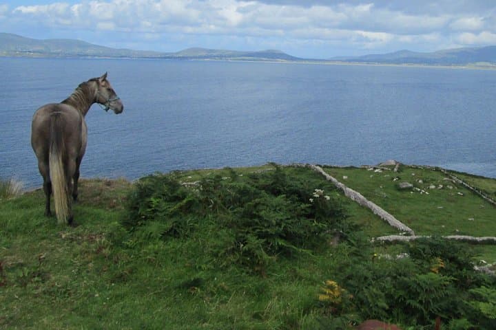 Luxury Photography Day Tour on the Ring of Kerry and Skellig Ring
