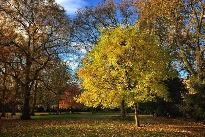 Bloomsbury Literary Walking Tour — Private 3‑Hour London Experience photo 2