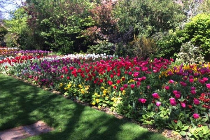 Royal London Walking Tour — Palaces, Parks & Private Guide photo 2