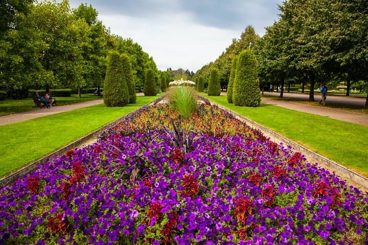 Regent's Park Private Photography Tour: Capture Color, Composition & Wildlife