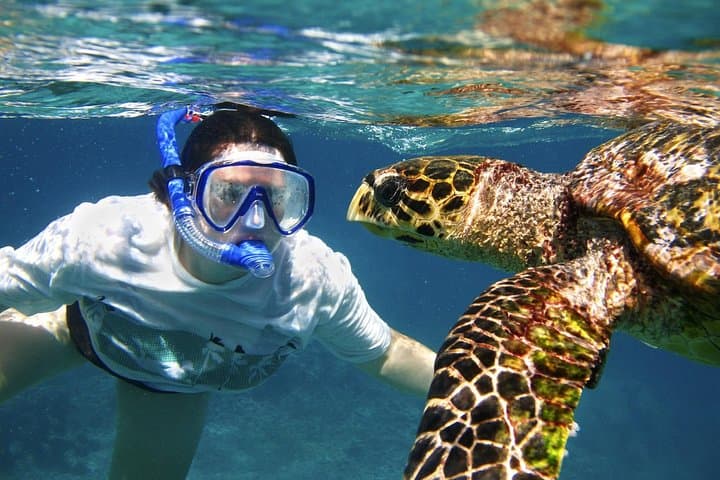 Hurghada Red Sea Snorkeling: Full-Day Trip from Luxor photo 4