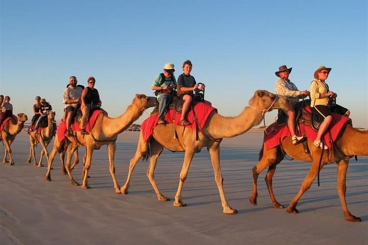 Aswan Camel Safari and Nile Boat: 4-Hour Private Desert Adventure photo 2