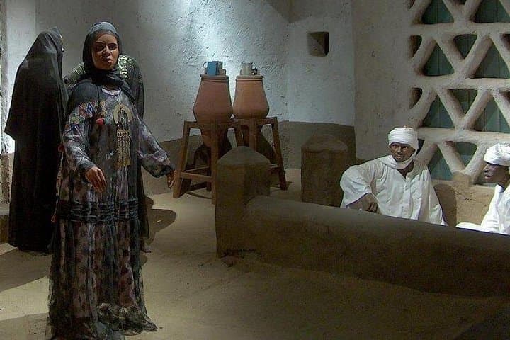 Private Tour to Aswan Nubian Museum — Museum Visit & Local Nubian Lunch photo 1