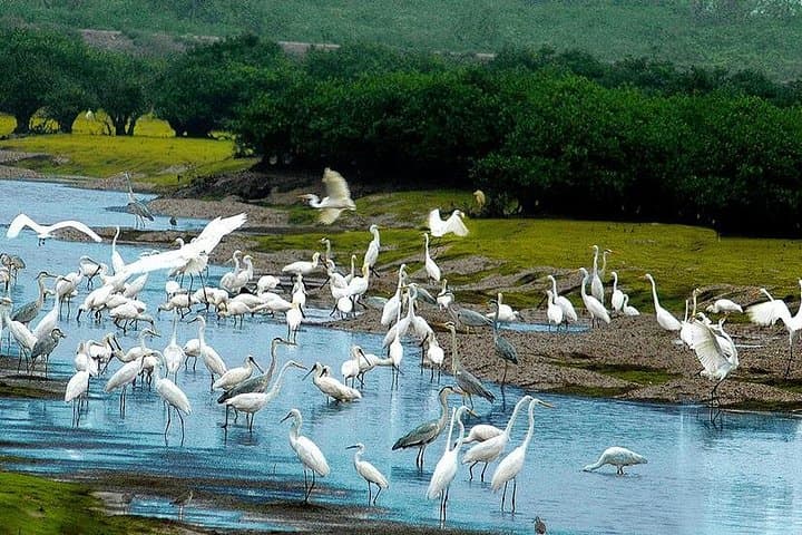 3-Day Northern Vietnam Jungle and Mangrove Adventure from Hanoi photo 1