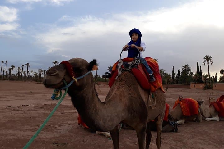 Palmeraie Sunset Camel Ride — Palm-Grove Tour with Berber Tea and Dinner photo 4