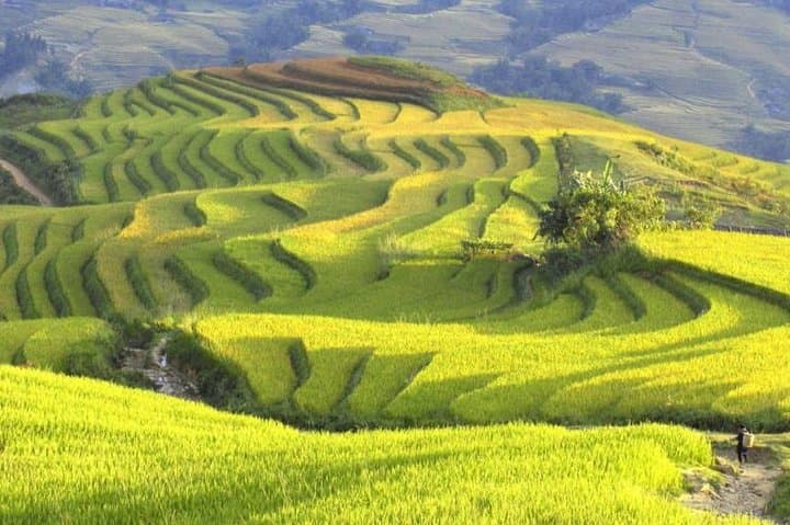 Sapa Two-Day Trek & Ta Van Homestay — Muong Hoa Valley Trek from Hanoi photo 4