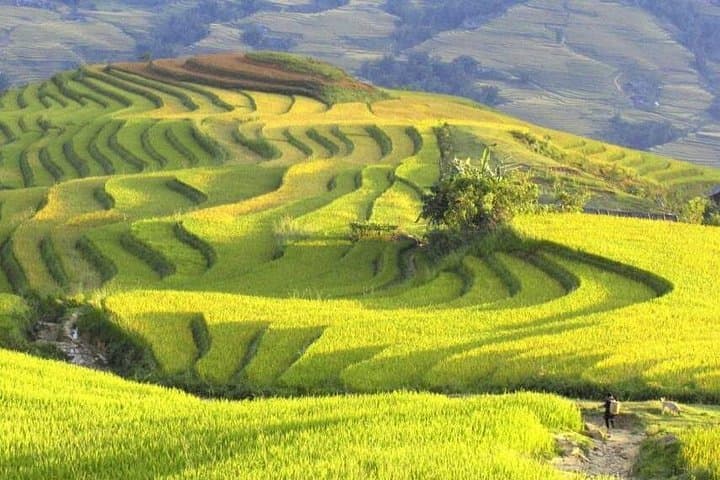 Hanoi to Sapa: 2-Day Valley Trek & Cat Cat Village Experience photo 2