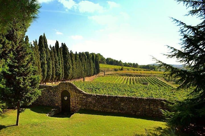 Montserrat and Penedès Private Day Tour from Barcelona — Monastery, Mountain Views & Winery Tasting photo 2