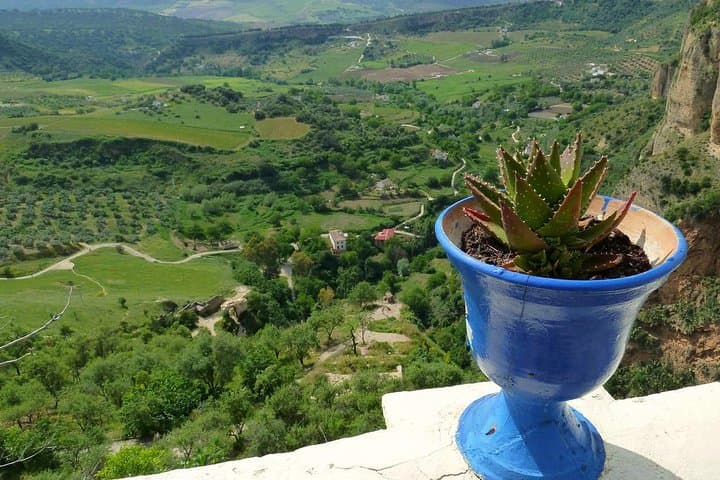 Ronda in a Day: Private Full-Day Tour from Malaga or Marbella photo 2