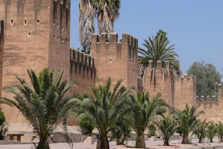 Tiout Oasis & Taroudant Medina Day Tour from Agadir