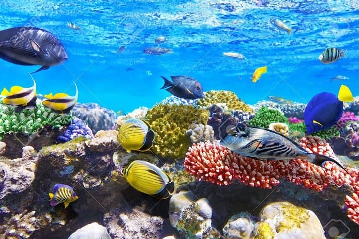 Snorkel Sharm El Naga Bay from Hurghada — Coral Reefs, Beach & Lunch photo 1