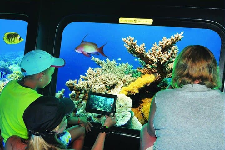 Hurghada Semi-Submarine: 4-Hour Red Sea Reef Viewing Experience