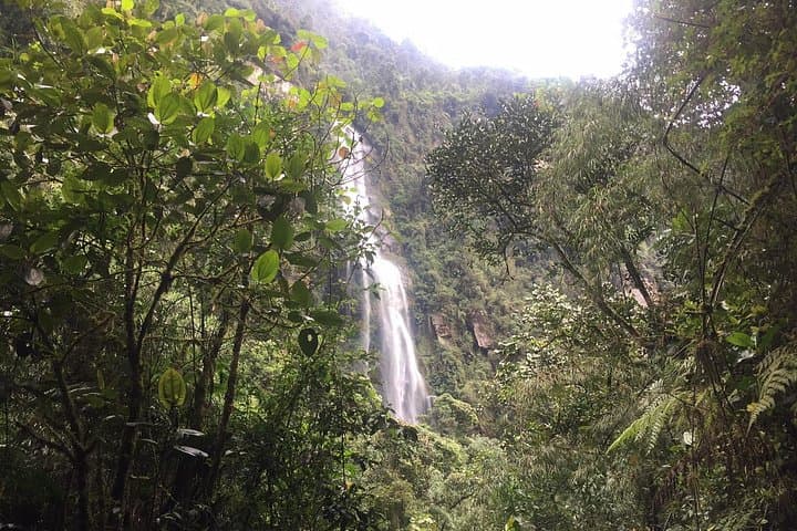 Hike La Chorrera Waterfall from Bogotá: Colombia's Highest Cascade & Fog‑Forest Trek