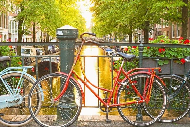 Amsterdam City Center Semi-Private Walking Tour: Historic Highlights & Local Secrets