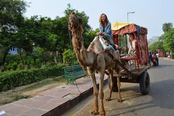 Agra to Jaipur: 2-Day Private Transfer with Local Licensed Guides (Taj Mahal, Agra Fort, Amer Fort)