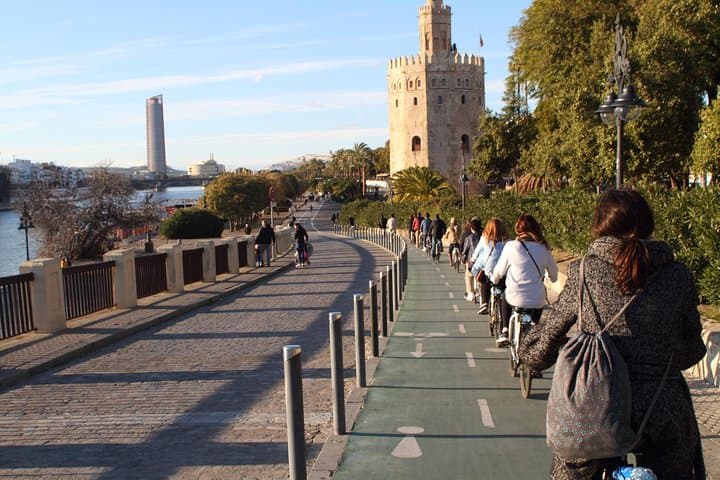 Cycle the Guadalquivir: Seville Bike Tour to Alamillo Park & American Gardens